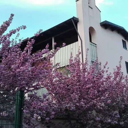 Alloggio in famiglia Affittacamere Amaranto